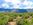 40 Acre Nevada Ranch Land  For Sale