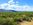 40 Acre Nevada Vacant Ranch For Sale