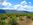 40 Acre Nevada Vacant  Ranch Land  For Sale