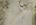 elko county cheap land for sale