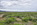 40 acres for sale in nevada 