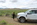 FSBO land for sale in nevada 