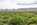 40 acres for sale in humboldt county 