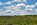 Nevada land for sale