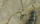 elko county google map