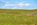 homesteading land for sale