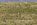 off grid land for sale