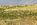 horse property for sale