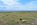 beowawe land for sale