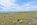 nevada acre for sale