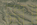 Nevada 40 acres for sale