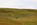 40 acres for sale