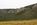 cheap land fro sale in nevada