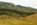 homestead property for sale