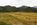 10 acres for sale nevada 