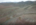 homestead property for sale 