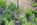 40 acre ranch for sale elko county