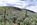 ranch land for sale nevada