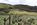 elko county 1 2 5 10 20 acres for sale