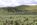 elko county nevada search land for sale
