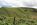owner financing land for sale
