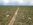 acres for sale elko county nevada